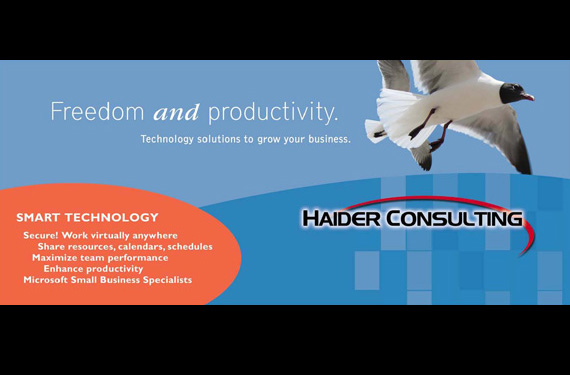 Haider Consulting 8-ft Display
